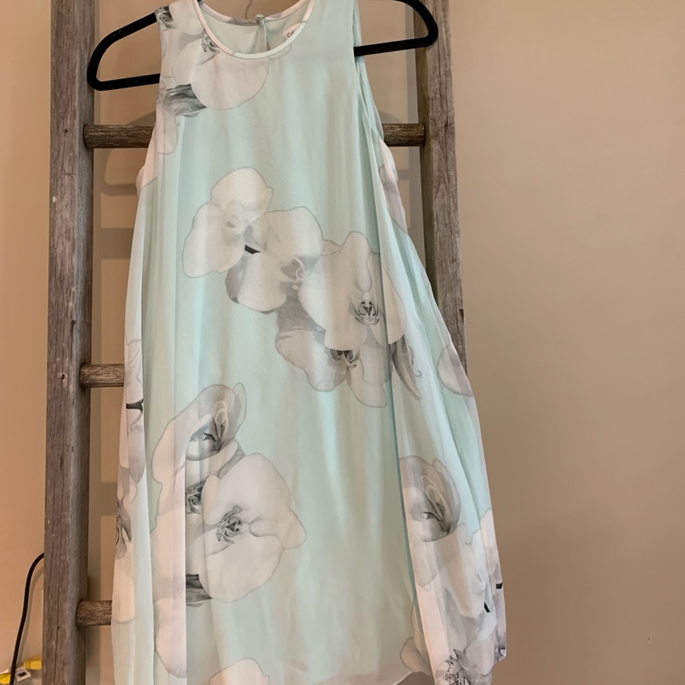 Calvin Klein “Miu” dress